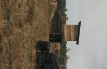 DSCF1745