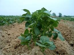images2